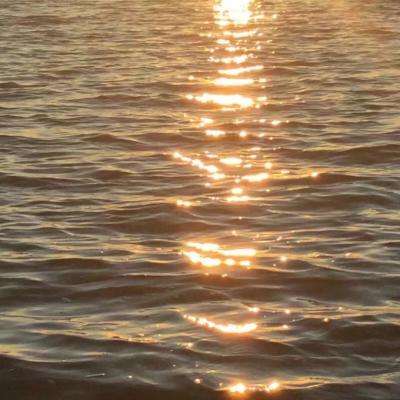 B—sports登录B体育